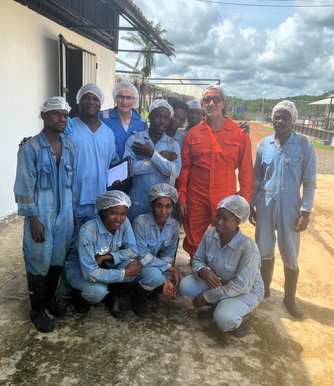 Elevage porc Afrique